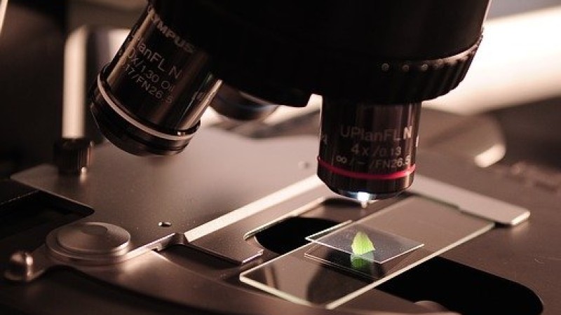 CIENCIA CIENCIA