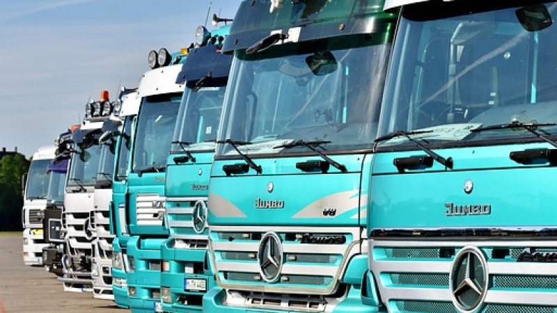 BIENESTAR ANIMAL DURANTE EL TRANSPORTE BIENESTAR ANIMAL DURANTE EL TRANSPORTE